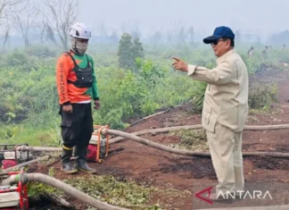 Prabowo Susuri Karhutla di Kubu Raya, Pastikan Penanganan Optimal