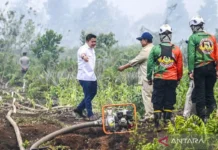 Prabowo Tinjau Kondisi Karhutla di Kalimantan Barat