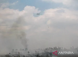 Tak hanya Helikopter, Presiden Prabowo juga Tambah Personel Tangani Karhutla