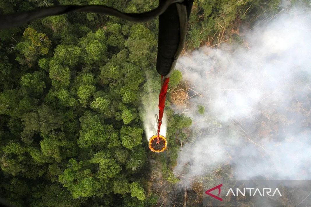 Presiden tambah helikopter water bombing penanganan karhutla Kalteng