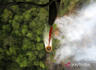 Presiden Tambah Helikopter Water Bombing Penanganan Karhutla Kalteng
