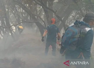 TNGGP Catat 150 Petugas Gabungan masih Berjibaku Padamkan Api Gunung Pangrango