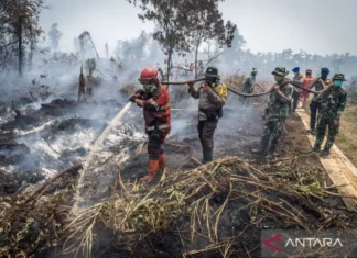 TNI Kerahkan Pasukan Penerjun Khusus Tangani Karhutla