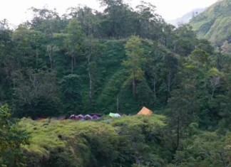 Tim Gabungan Diterjunkan Padamkan Kebakaran Lahan di Kawasan Gunung Rinjani