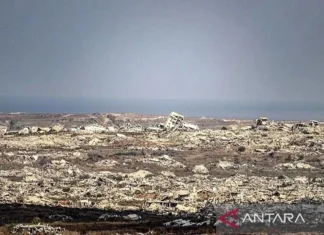 Utusan Perdamaian AS Desak Israel Hentikan Serangan di Gaza