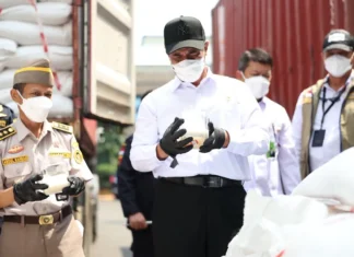 Amran: Masuknya Beras Ilegal Khianati Kerja Keras 115 Juta Petani RI