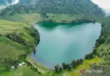 BB TNBTS Sanksi “Blacklist” Delapan Pendaki Ilegal Gunung Semeru