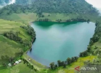 BB TNBTS Sanksi “Blacklist” Delapan Pendaki Ilegal Gunung Semeru
