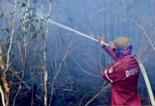 BMKG Deteksi 1.299 Titik Panas di Kalimantan Selatan pada Rabu