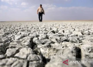 WMO: Dunia Alami Penurunan Cadangan Air Daratan sejak 2025