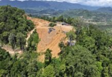 Kemenhut Tetapkan 2 WNA China Tersangka Kasus Tambang Ilegal di Sulut